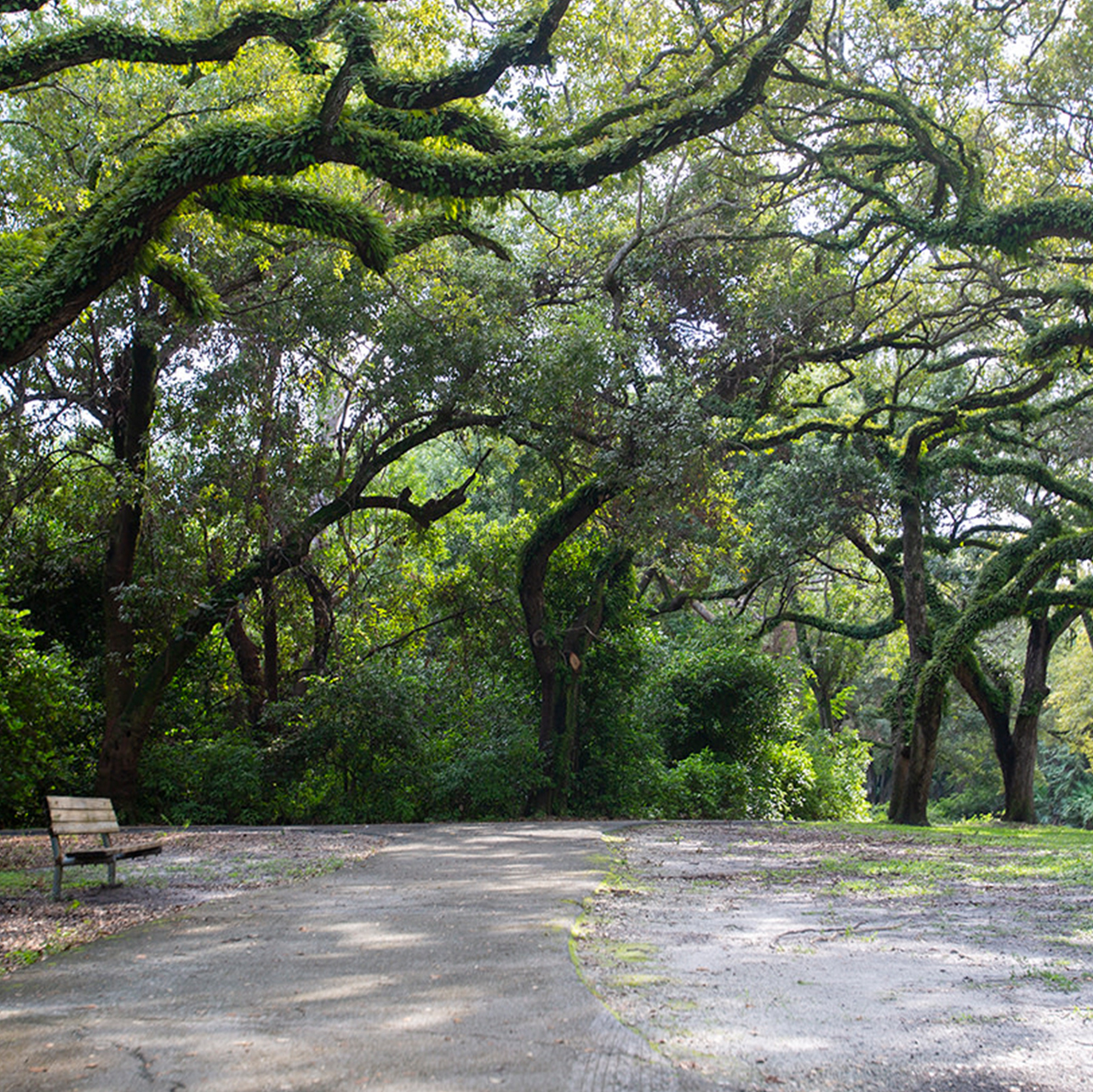 Greynolds-Park
